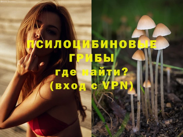соль курить ск Арсеньев